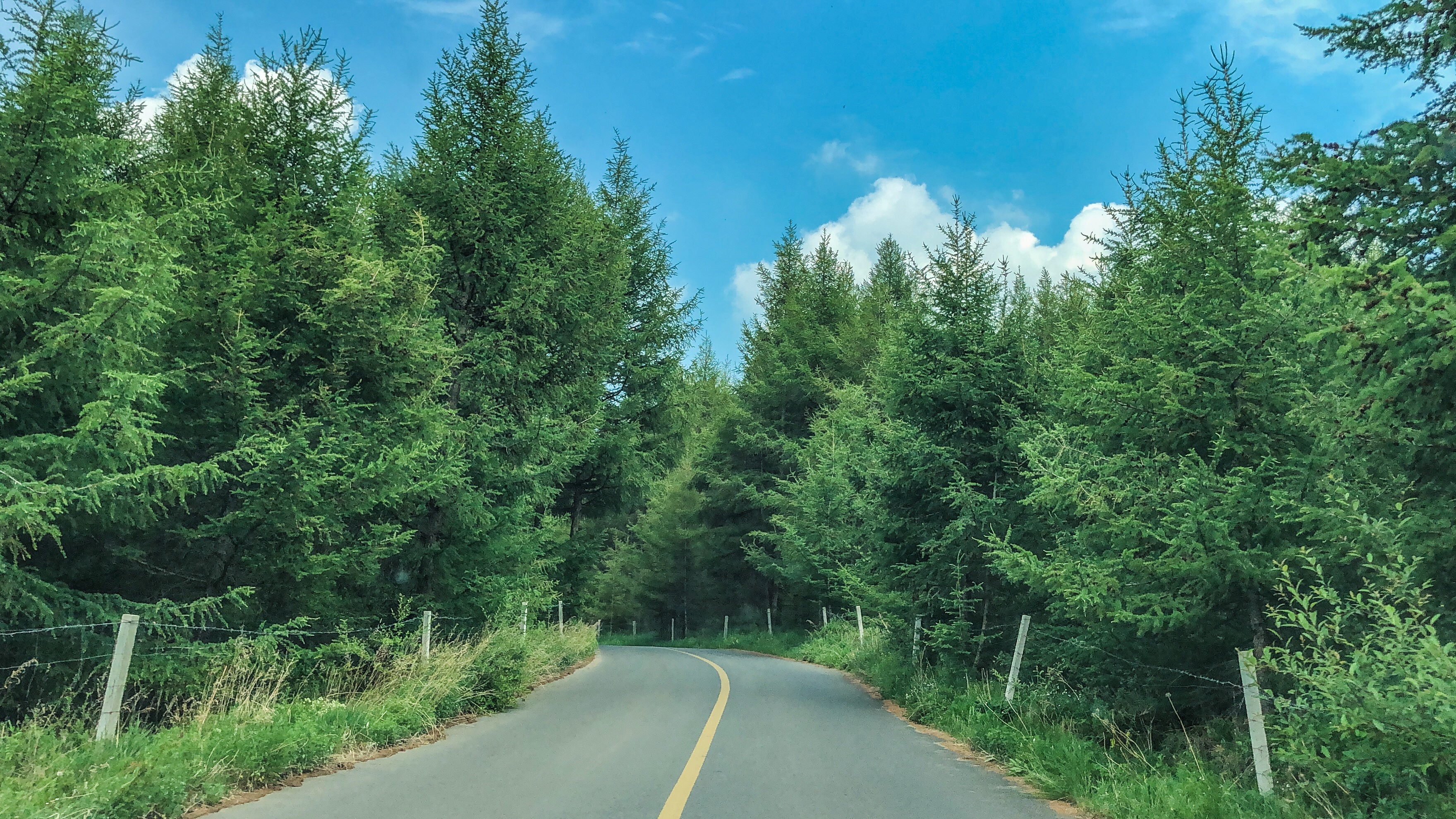爱上草原，只需要一个瞬间