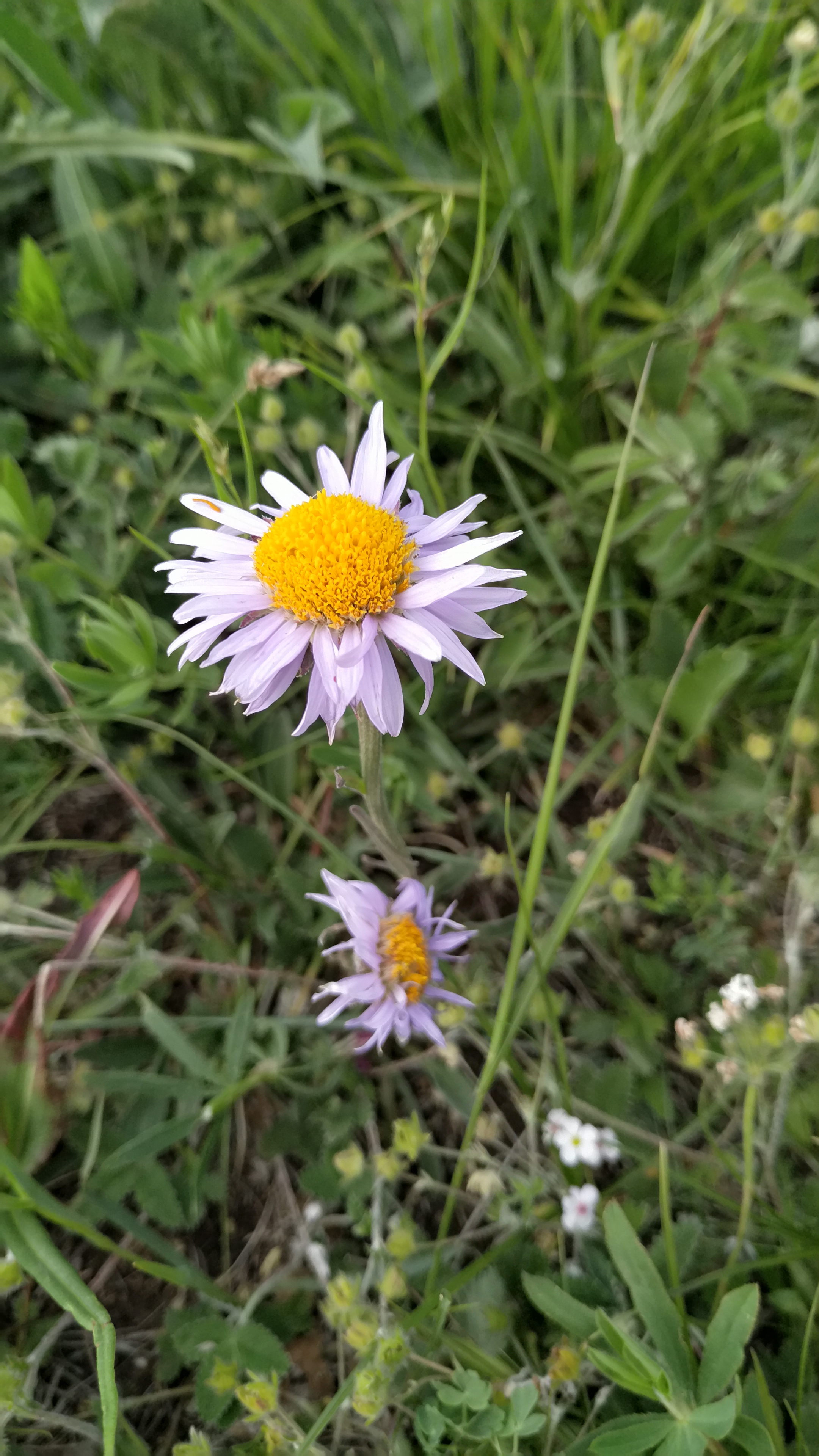 爱上草原，只需要一个瞬间