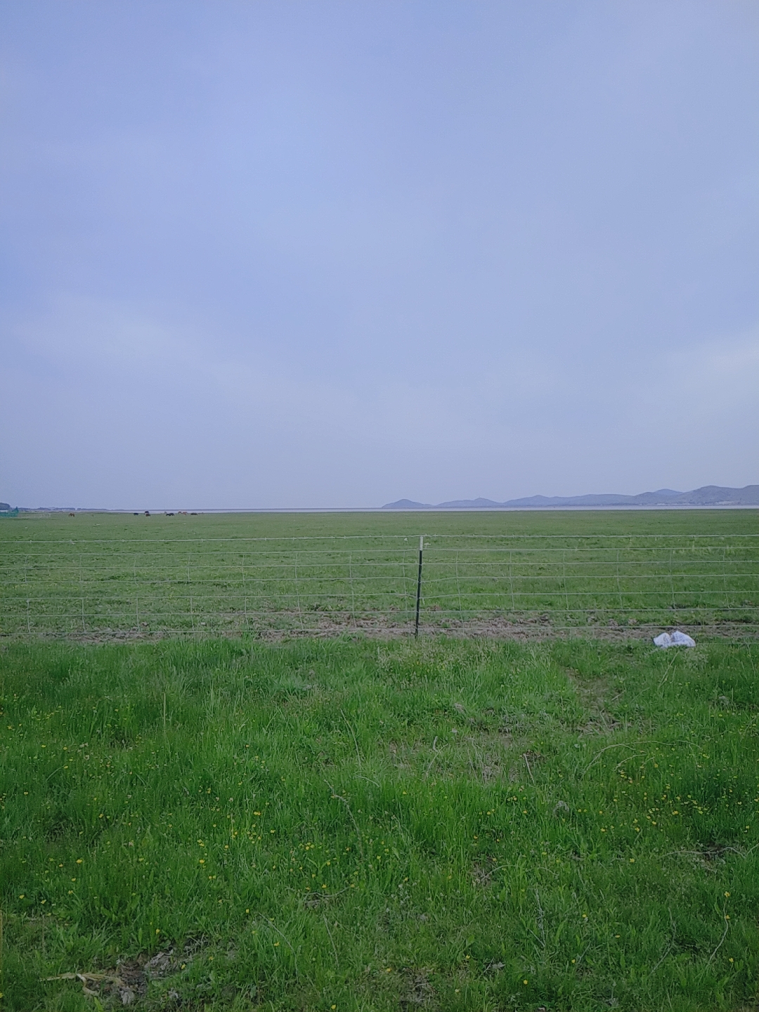 爱上草原，只需要一个瞬间