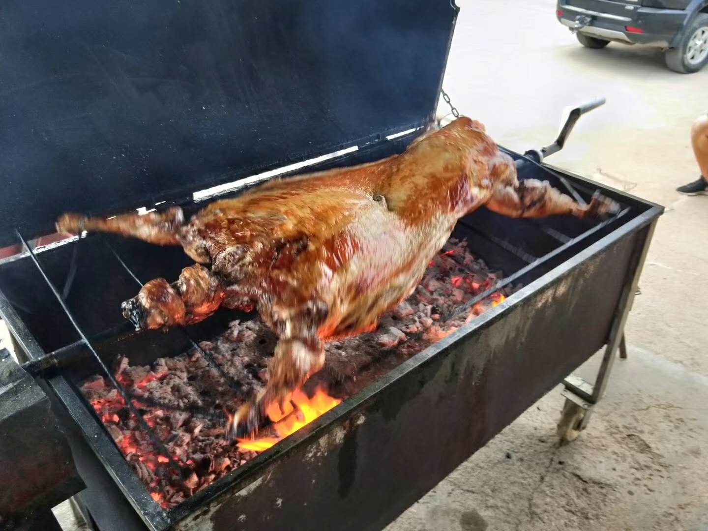 爱上草原，只需要一个瞬间